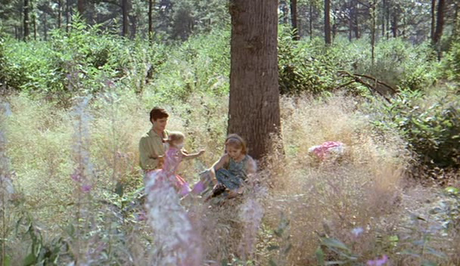 Le Bonheur - 1965