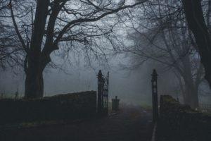 Traicionado por la Vida – Auto-empatía.