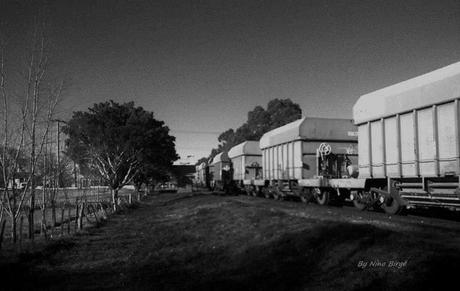 Infancias. La plazoleta Infancias. La plazoleta