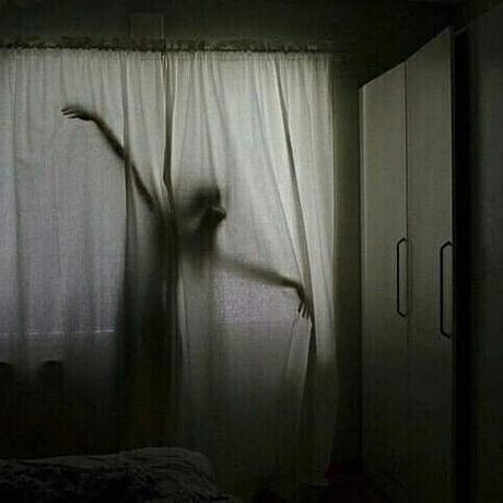 66287677_2419833318272967_1747682094651277312_n