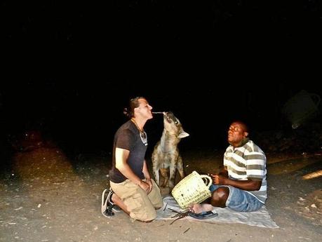 Hyenas ▷ Comente qué hacer en Etiopía viajando a Etiopía: cosas importantes que debe saber antes de ir