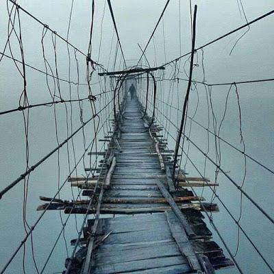 “Sea Watch 3” y otras ONGs defienden la vida de los migrantes, lo que Matteo Salvini y otros se niegan a proteger.