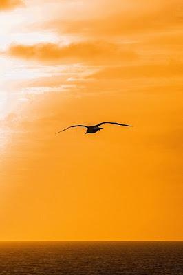 “Sea Watch 3” y otras ONGs defienden la vida de los migrantes, lo que Matteo Salvini y otros se niegan a proteger.