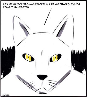 “Sea Watch 3” y otras ONGs defienden la vida de los migrantes, lo que Matteo Salvini y otros se niegan a proteger.