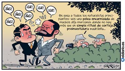 “Sea Watch 3” y otras ONGs defienden la vida de los migrantes, lo que Matteo Salvini y otros se niegan a proteger.