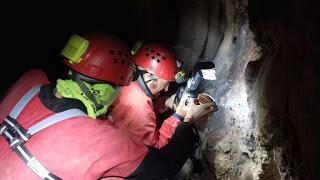 Seguimos con los trabajos en la Sierra de Segura Seguimos con los trabajos en la Sierra de Segura
