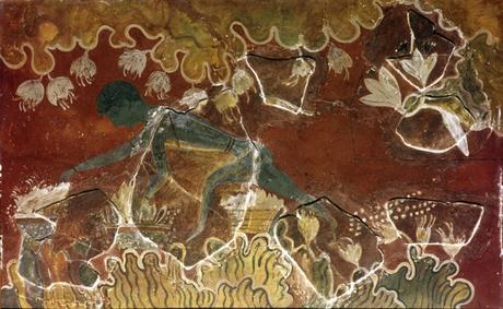 ¡AZAFRÁN! : Savia de La Mancha