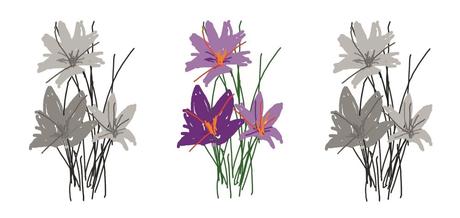 ¡AZAFRÁN! : Savia de La Mancha ¡AZAFRÁN! : Savia de La Mancha