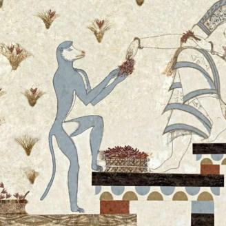 ¡AZAFRÁN! : Savia de La Mancha