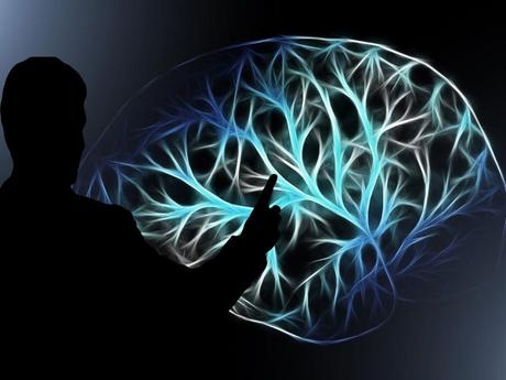 Curiosidades sobre el cerebro