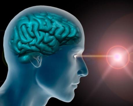 Curiosidades sobre el cerebro