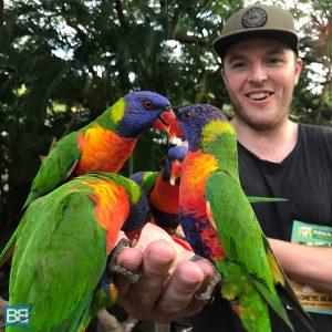 ▷ 10 de los mejores albergues en Australia en los que tienes que alojarte! (2019) IMG_3493-300x300 ▷ 10 de los mejores albergues en Australia en los que tienes que alojarte! (2019)