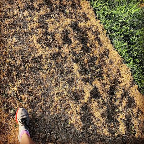 En la cima del Tourmalet En la cima del Tourmalet