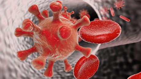 Científicos lograron eliminar por primera vez el VIH en ratones-TuParadaDigital