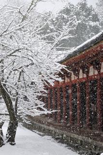 Reseña|| El amor y otros choques de tren- Leah Konen