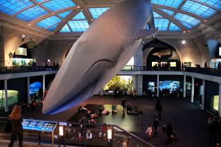 La Voz del Interior - Voy de Viaje - Manhattan bajo tierra