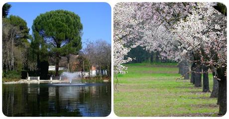 Parque de El Capricho