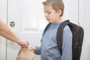 El niño no quiere ir al colegio El niño no quiere ir al colegio
