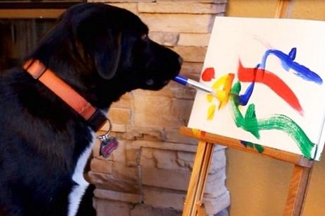 15 perros que están viviendo el mejor momento de sus vidas 15 perros que están viviendo el mejor momento de sus vidas