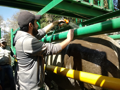 INVITA PARQUE ECOLÓGICO “ZACANGO”, A PARTICIPAR EN NUEVAS ALTERNATIVAS DE ENTRETENIMIENTO FAMILIAR