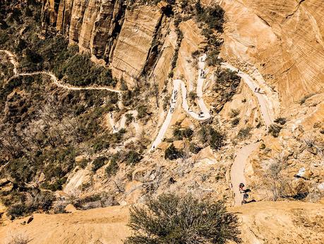 zion-national-park-16 ▷ Comente sobre la Guía definitiva de cosas que hacer en el Parque Nacional Zion (por primera vez) por Rachel Rodda