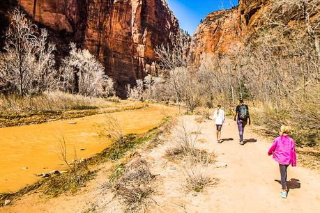 things-to-do-in-zion-national-park ▷ Comente sobre la Guía definitiva de cosas que hacer en el Parque Nacional Zion (por primera vez) por Rachel Rodda