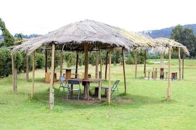 CONSTRUYEN ESTUDIANTES DEL CECYTEM DONATO GUERRA PALAPAS EN BENEFICIO DE SU INSTITUCIÓN