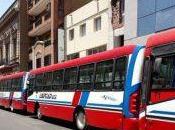 Paro colectivos: quinto servicios gran incógnita acerca cuando restituye servicio