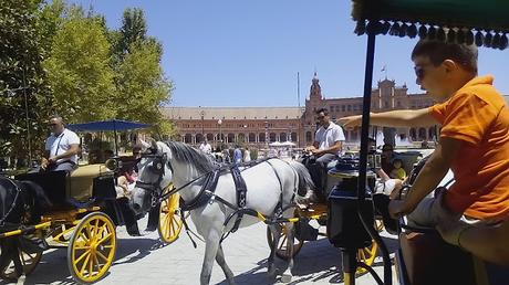 Paseo calesa caballos Sevilla