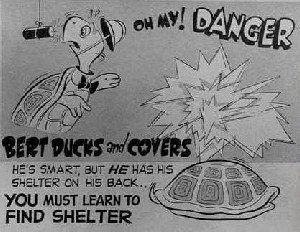 Ducks and Covers