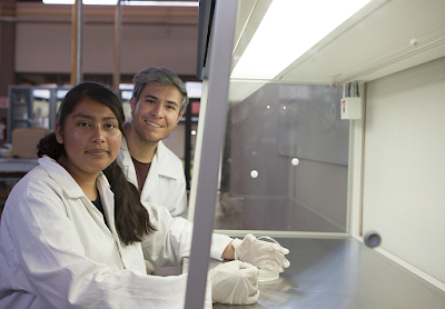 REGULAN EDUCACIÓN DUAL EN EDUCACIÓN MEDIA SUPERIOR Y SUPERIOR EN EL ESTADO DE MÉXICO