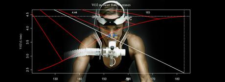 ¿Que pasa con nuestro cuerpo al dejar de entrenar? ¿Que pasa con nuestro cuerpo al dejar de entrenar?