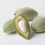 Batido de proteína de chocolate (sin proteínas en polvo)