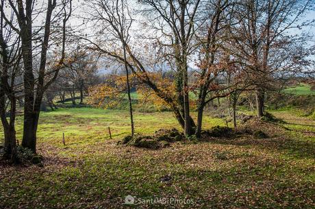 Un rincón agradable