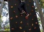 mejor compañía familia