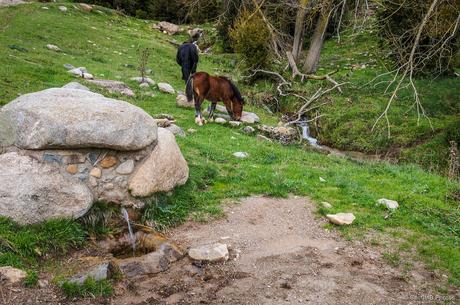 Agua libre y agua canalizada