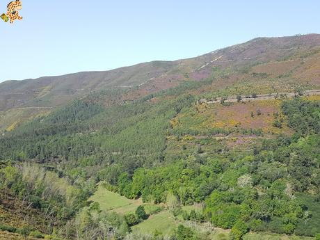 Vila Real: casa Mateus y Parque Natural do Alvao