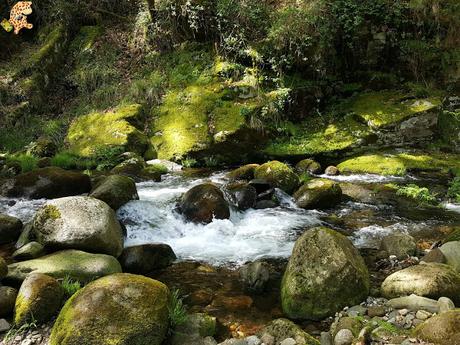 Vila Real: casa Mateus y Parque Natural do Alvao