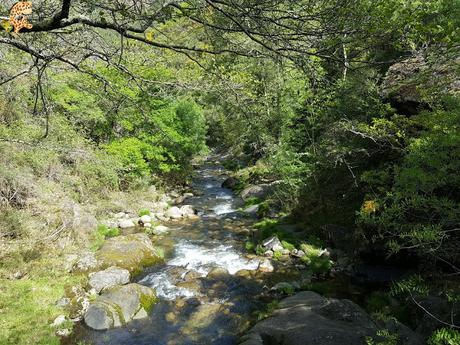 Vila Real: casa Mateus y Parque Natural do Alvao