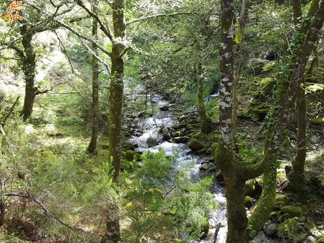 Vila Real: casa Mateus y Parque Natural do Alvao