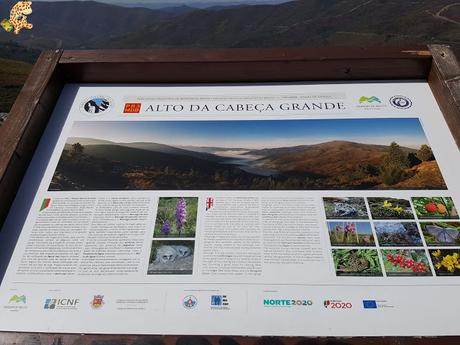 Vila Real: casa Mateus y Parque Natural do Alvao