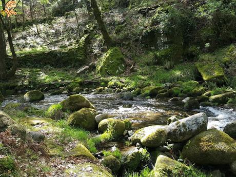 Vila Real: casa Mateus y Parque Natural do Alvao