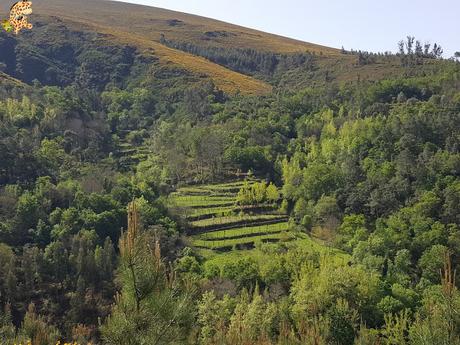 Vila Real: casa Mateus y Parque Natural do Alvao