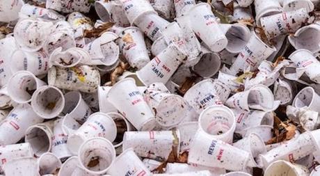 El desperdicios de alimentos y de los plásticos de envases, un problema de sostenibilidad
