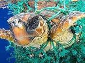 presencia plástico océano emergencia mundial