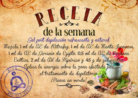 Receta: Gel post depilación refrescante y natural Receta: Gel post depilación refrescante y natural