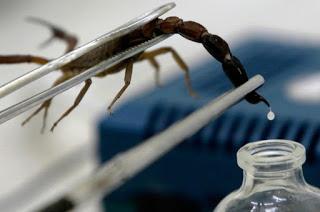 Veneno de Escorpión