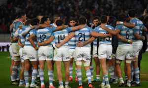 los pumas