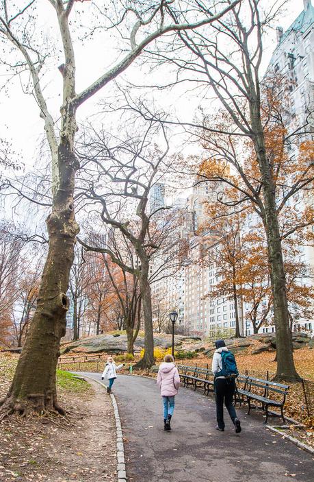 central-park-nyc-1 ▷ Comente sobre 15 cosas emocionantes para hacer en Nueva York con niños (o sin ellas) por 31 cosas perfectas para hacer en Nueva York con niños: una mezcla de paradas turísticas y aventuras únicas - The Vacation Gals