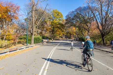 central-park-bike-ride-3 ▷ Comente sobre 15 cosas emocionantes para hacer en Nueva York con niños (o sin ellas) por 31 cosas perfectas para hacer en Nueva York con niños: una mezcla de paradas turísticas y aventuras únicas - The Vacation Gals